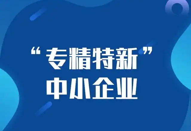 2025年专精特新重点小巨人认定条件（重点小巨人企业申报要求）