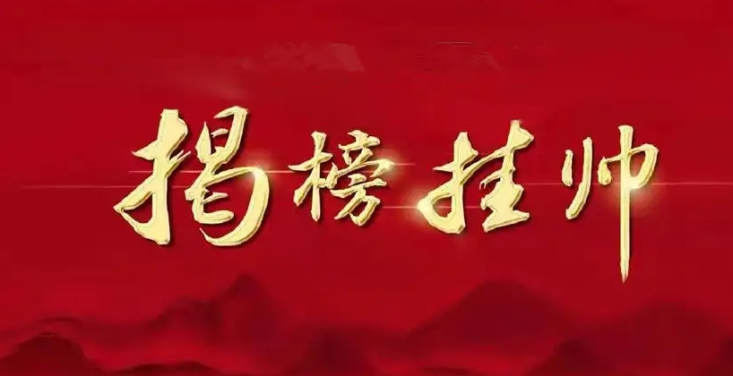 重庆市经济和信息化委员会关于发布重庆市工业和信息化领域“揭榜挂帅”项目榜单（具身智能机器人方向第一批）的通知